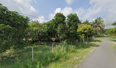 Ejen Perunding Hartanah Utara- Kedah Perlis Perak