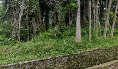 Taman Pemakaman Umum Pasir Padu