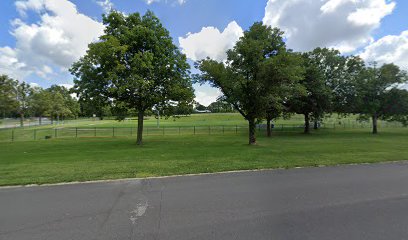 Soccer field