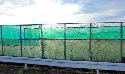 滋賀県立草津高等学校 テニスコート
