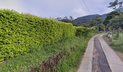 Mirador El Kiosko