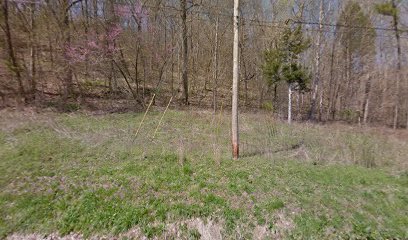 Greeson Family Cemetery