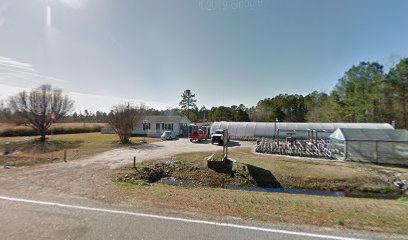 Southern Bloom Nursery