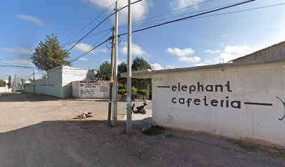 Elephant Cafeteria