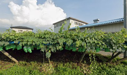 極真カラテ山梨道場