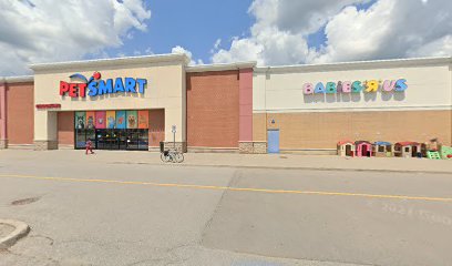 PetSmart Dog Training