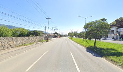 Puertas de Forja en Monterrey