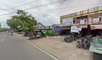 Cinara Indonesia