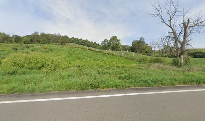 Taylor Cemetery