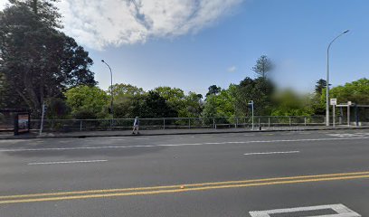 Anglican Section of Symonds Street Cemetery