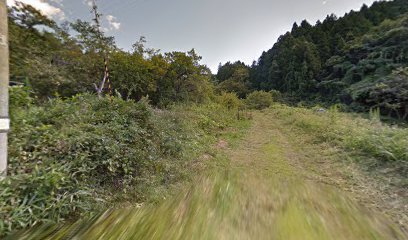 グリーンピア散策路