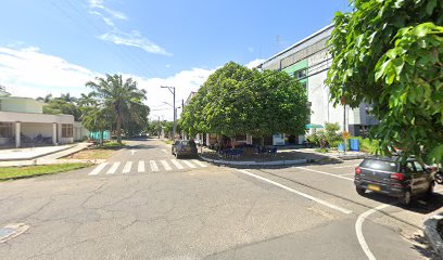 Tienda Y Verduras