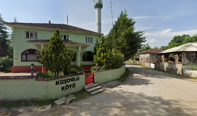 Kuşoğlu Köyü camii