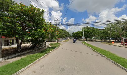 Centro Educativo De La Riviera Ac