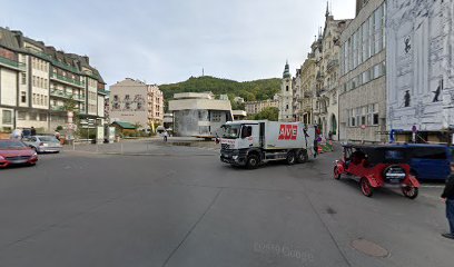 Pokamenělé předměty Karlovy Vary - Vřídlovec, Sprudelstein, Spring stone