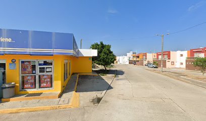 Clinica Y Estetica Veterinaria Puerto Esmeralda