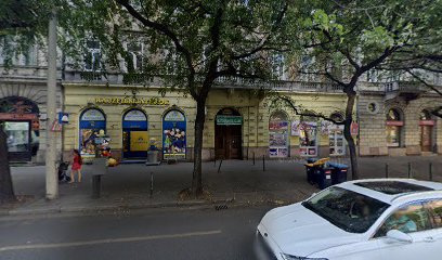 Budapest IX. KER. EJTŐERNYŐS KLUB SPORTEGYESÜLET