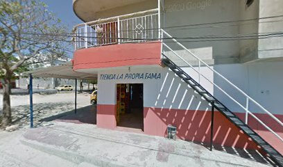 Tienda La Propia Fama