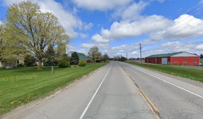 New Haven Stables