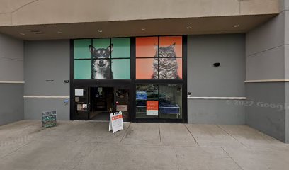 PetSmart Doggie Day Camp