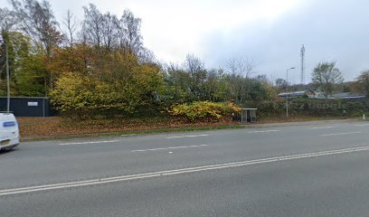 Spedsbjerg (Odense Kommune)