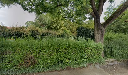 Street-Workout-Park