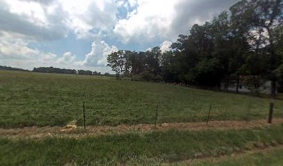 Little Vine Cemetery