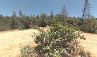 Stony Gulch Trail Head Connector