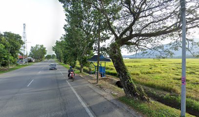 Opposite Taman Guru,Jalan Merbok - Yan Kechil