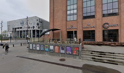 Aalborgs største cs jeiner