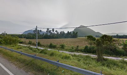 Kg Sg Limau Gunung Pulai View