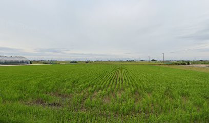 TOYAMA FARM SKY AGRI CONNECT