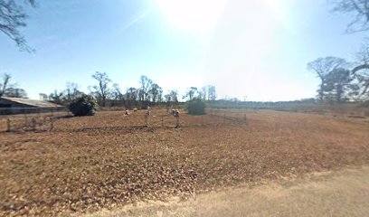 Fortenberry Cemetery