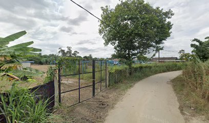 Flower Nursery