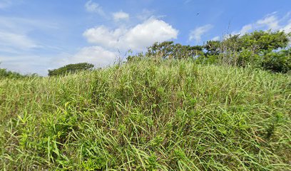 海底探検