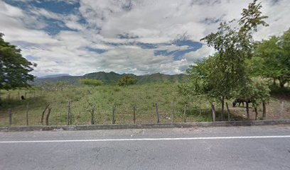 Montallantas Km11 Mojarras - El Bordo