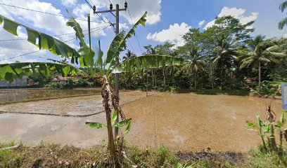 Perkebunan Pondok Pesantren Darussalam