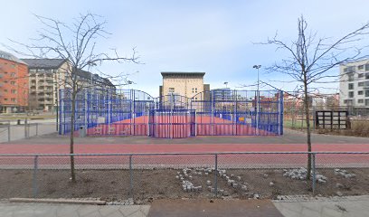 Stapelbäddsskolan basketplan