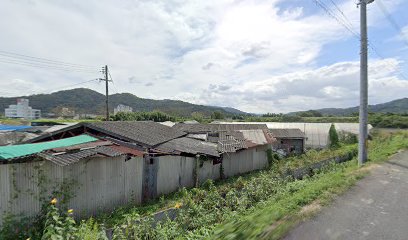 (有)広幡種苗園芸センター 農園