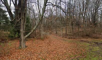 Limestone ridge marsh preserve