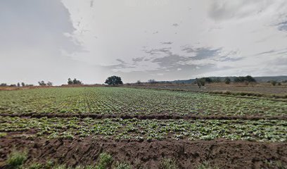 Campo de fútbol