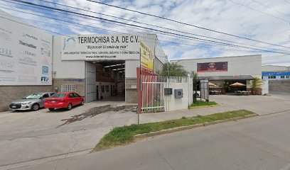 Termochisa León