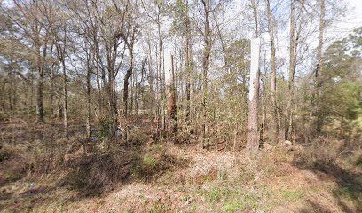 New Ramah Cemetery