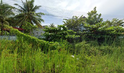 Nong Mai Seafood