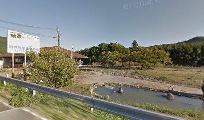 自然双生運動公園