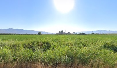 Musabey Yol Ayrımı