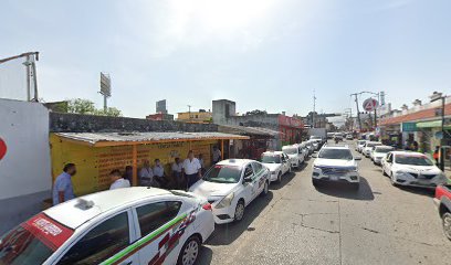 Sitio de Taxis a Villa Vicente Guerrero