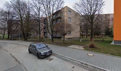 Střechy Ostrava