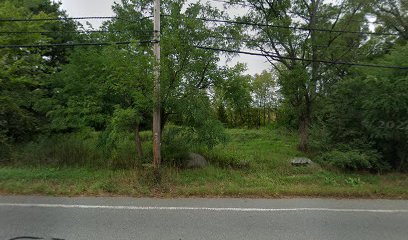 Upper Vine Brook