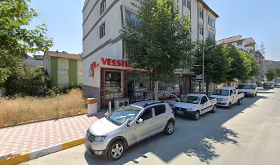 Vestel Yetkili Servisi - Turhal - Salman Fuat Yıldız